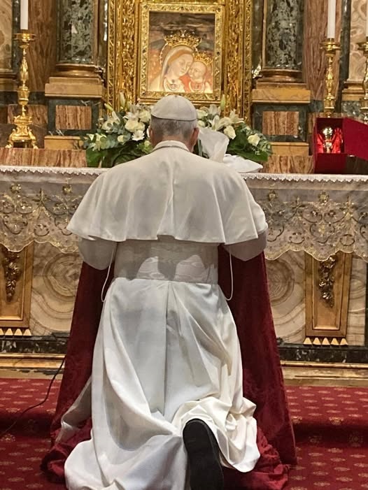 La Madre del Buon Consiglio gli dia sapienza e coraggio. 
