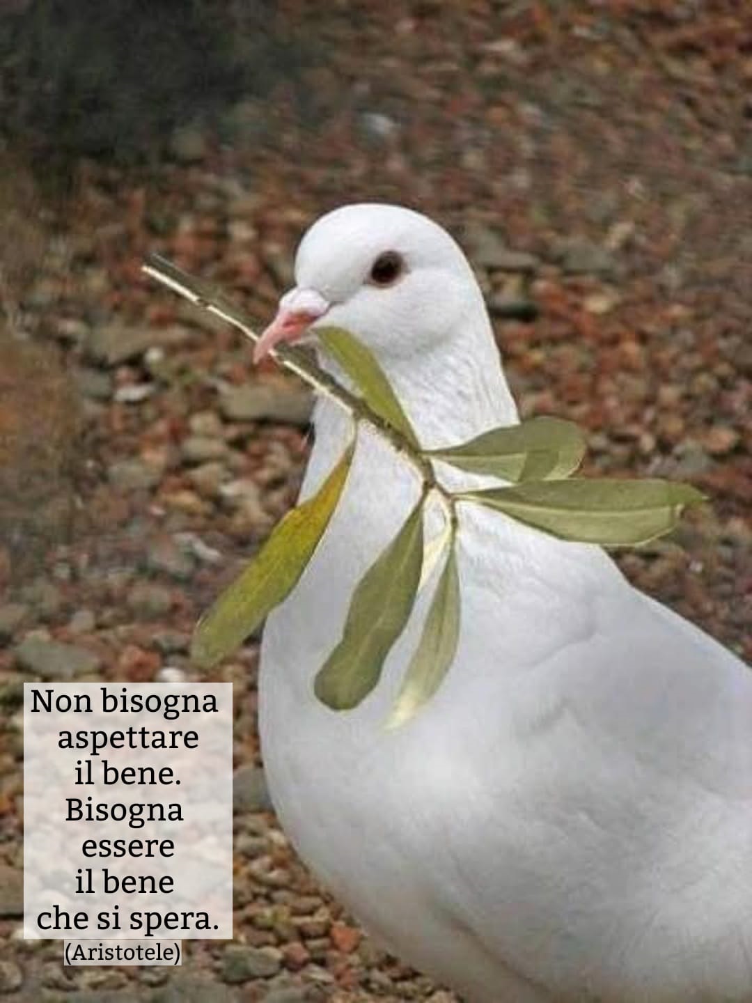 Per sperare in bene bisogna vivere bene ...