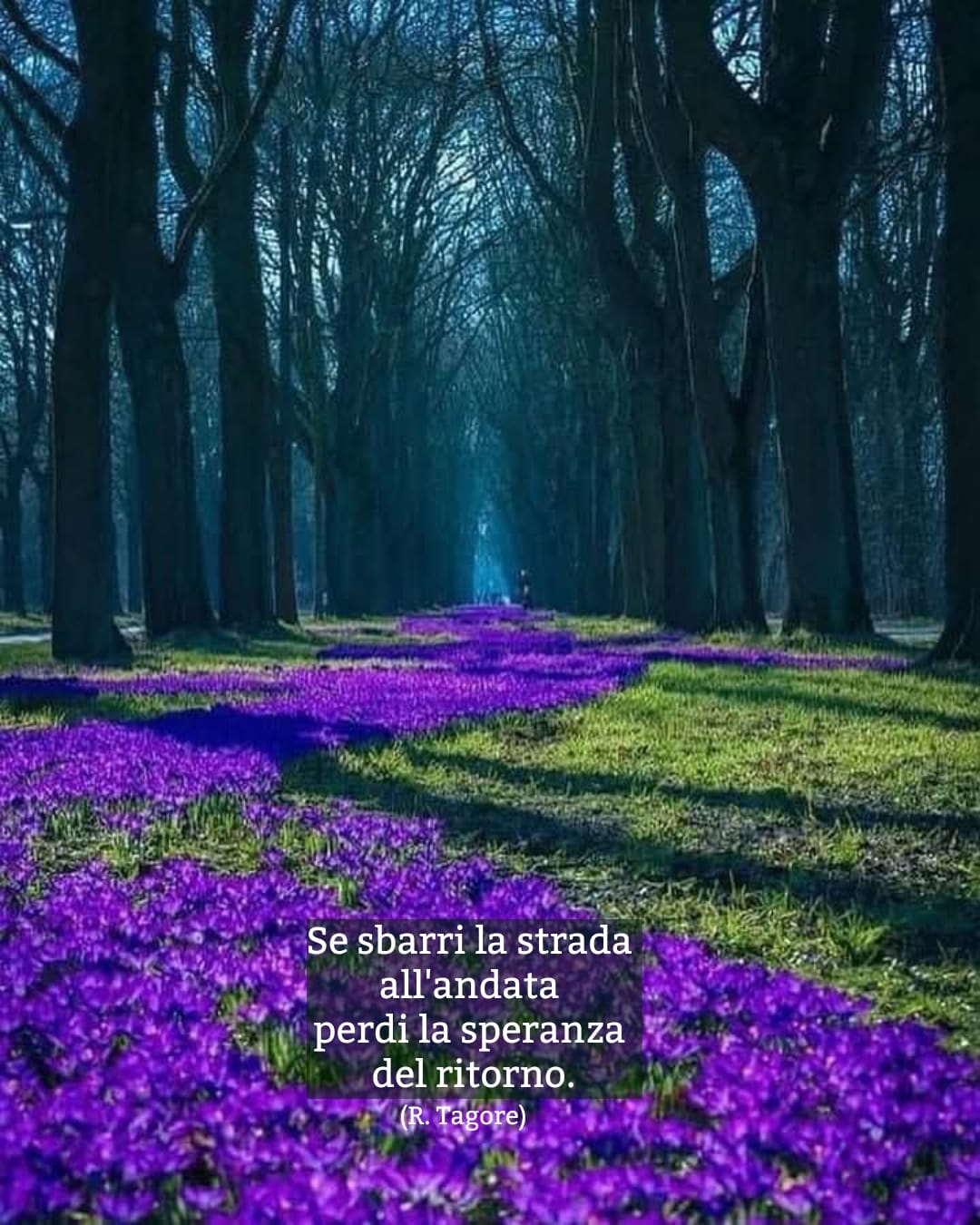 Chi ama guarda al futuro. Chi calcola pensa al passato.