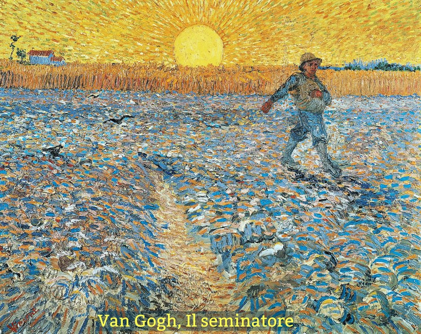 L'amore è libero: miete dove non ha seminato.